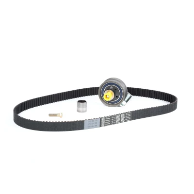 Afbeelding van Distributieriemset SKF VKMA 01008