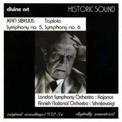 Afbeelding van Finnish National Orchestra, London Symphony Orchestra Sibelius: Symphonies Nos. 5 &amp; 6 (CD)