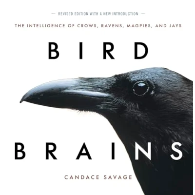 Afbeelding van Bird Brains: The Intelligence of Crows, Ravens, Magpies, and Jays