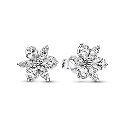 Afbeelding van Pandora Timeless 925 Sterling Zilveren Sparkling Herbarium Cluster Oorknoppen 292633C01