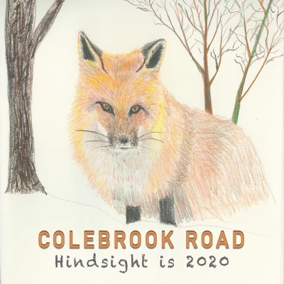 Afbeelding van Colebrook Road Hindsight Is 2020 (CD)