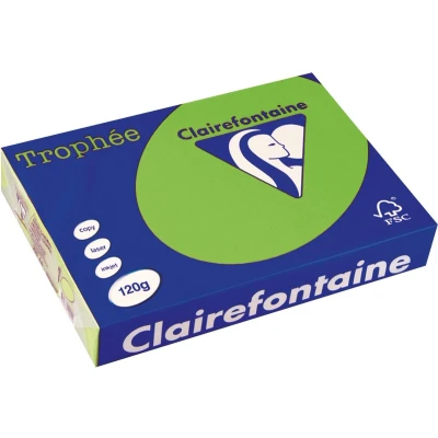 Afbeelding van Clairefontaine Trophée Intens, gekleurd papier, A4, 120 g, 250 vel, grasgroen papier