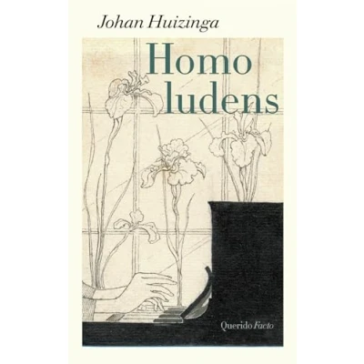 Afbeelding van Homo ludens