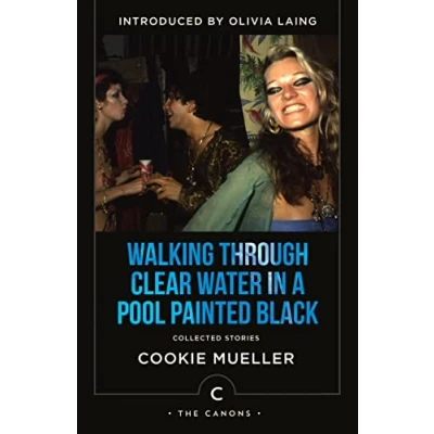 Afbeelding van Canons Walking Through Clear Water In a Pool Painted Black