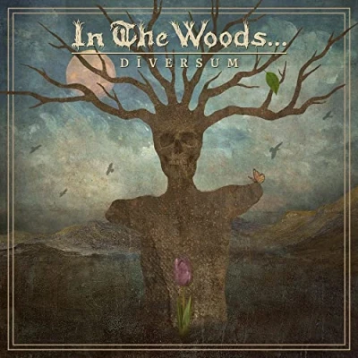 Afbeelding van In The Woods Diversum (LP)