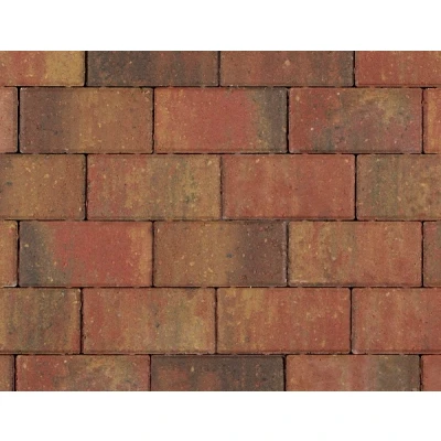 Afbeelding van Betonstraatsteen 21x10,5x6 cm bont gv komo