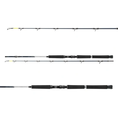 Afbeelding van Daiwa Leobritz Deepdrop Zeevis Boothengel 2.15m (200 600g)