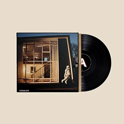 Afbeelding van Idles Crawler (LP)