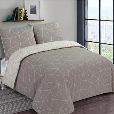 Afbeelding van Vision Hugo Beige Dekbedovertrek 240x220cm met 2 bijhorende slopen lits jumeaux bed 100% katoen