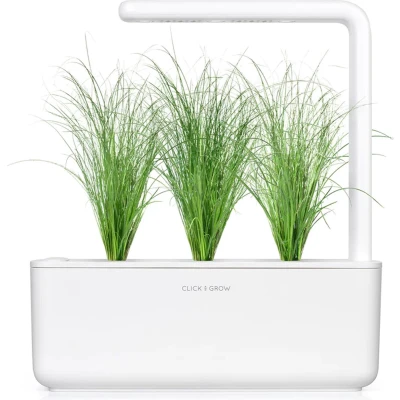Afbeelding van Click &amp; Grow Ornamental Grass / 3 pack