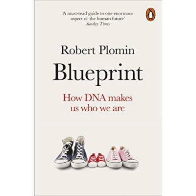 Afbeelding van Blueprint