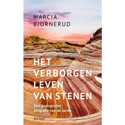 Image de Het verborgen leven van stenen