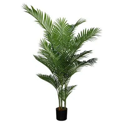 Afbeelding van Areca palm 185 cm Buitengewoon de Boet