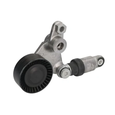 Afbeelding van Gates Spanrol (poly) V riem T39258