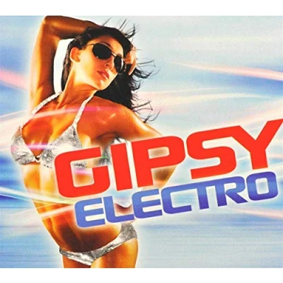 Afbeelding van Various Artists Gipsy Electro (2 CD)