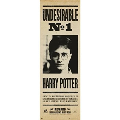 Afbeelding van Poster Harry Potter Undesirable nr 1 53x158cm
