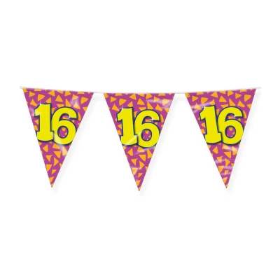 Image de Drapeau Line Slinger 16 ans Partie 10 mètres