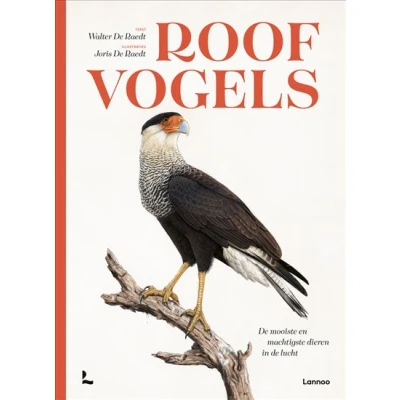 Image de Roofvogels