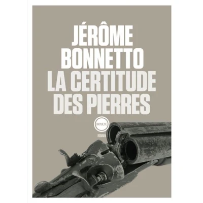 Image de La certitude des pierres