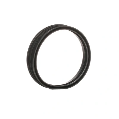 Afbeelding van Pierburg Pakking brandstofniveaumeter / Tankdop afdichtring 3.32038.03.0