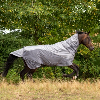 Image de Busse Paddock rug Rainfly