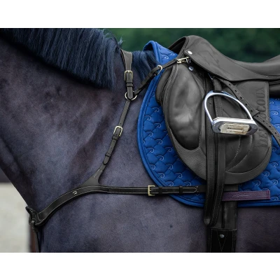 Afbeelding van Dyon Borsttuig Anatomical Zwart Pony