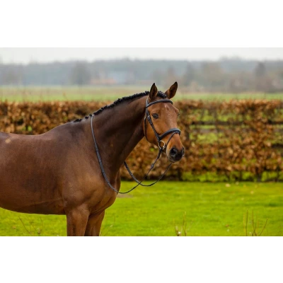 Afbeelding van Trust Hoofdstel Amsterdam Bruin/Goud Full