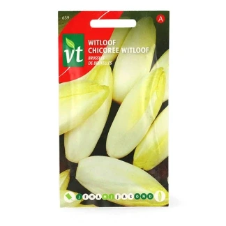 Afbeelding van Witloof Brussels Heerlijke delicatesse