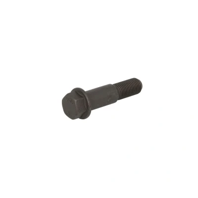 Afbeelding van Schroef AUGER 74695