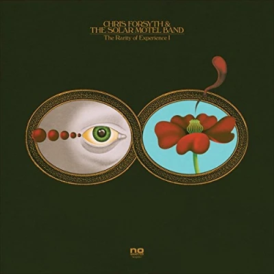 Afbeelding van Chris Forsyth The Rarity Of Experience (2 CD)