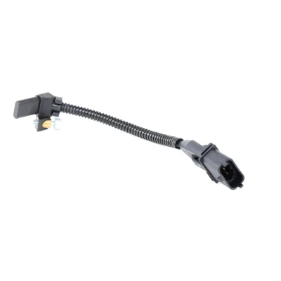 Afbeelding van Krukassensor DELPHI SS11121
