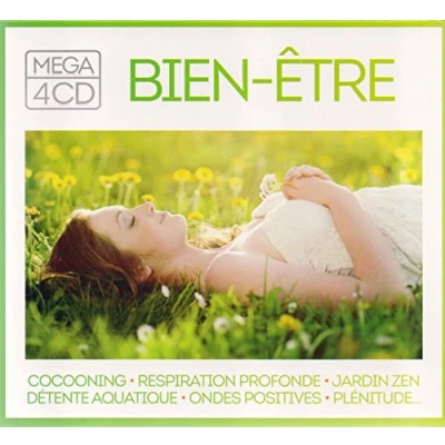 Afbeelding van Various Artists Mega Bien Etre (4 CD)