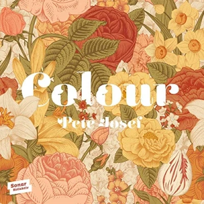 Afbeelding van Pete Josef Colour (LP)
