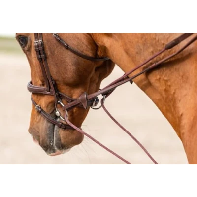 Afbeelding van Dy&#039;on Slofteugels Nec Huntergrip Bruin paard
