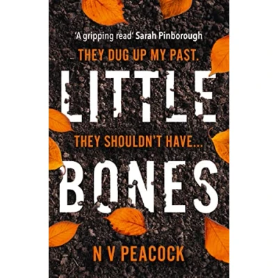 Afbeelding van Little Bones The most chilling serial killer thriller youll read this year