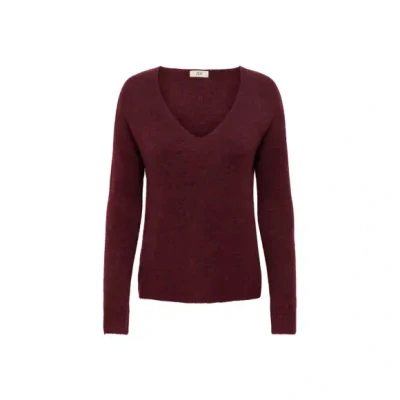 Afbeelding van JDY Pull CABERNET MELANGE M