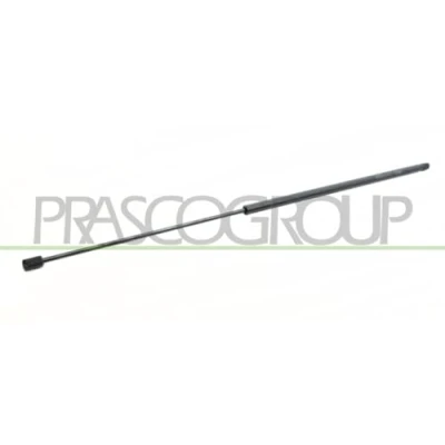 Afbeelding van PRASCO FT9089055 Gasveer achterklep 430 866 Links achter, Rechts achter FIAT: Doblo I Estate, Cargo