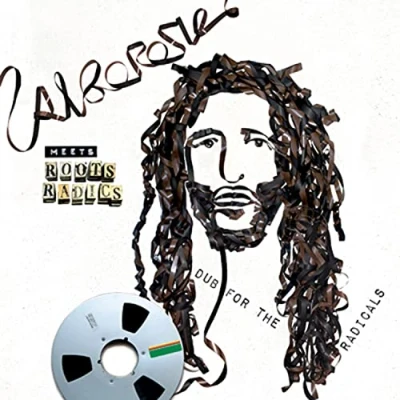 Afbeelding van Alborosie Meets Roots Radics Dub For The Radicals (CD)