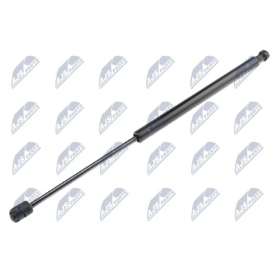Afbeelding van NTY AE HY 011 Gasveer achterklep 470 449
