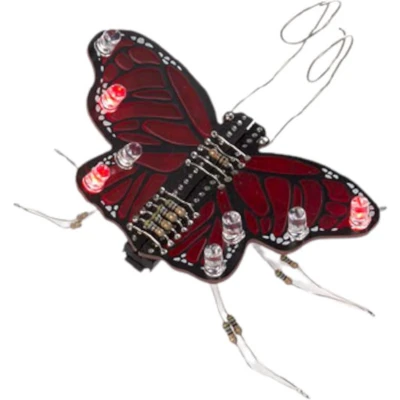 Afbeelding van THE MONARCH