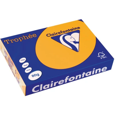 Afbeelding van Clairefontaine Trophée Pastel, gekleurd papier, A4, 80 g, 500 vel, goudgeel papier