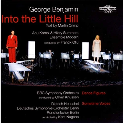 Afbeelding van Various Artists Benjamin: Into The Little Hill, Dan (CD)