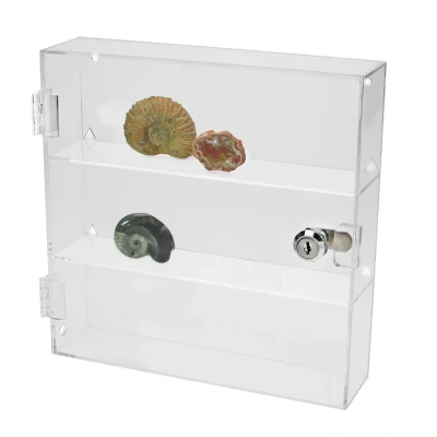 Afbeelding van Safe Safe, Acryl, Vitrine met afsluitbare draaideur model E afm: 320x110x320 mm. per st.