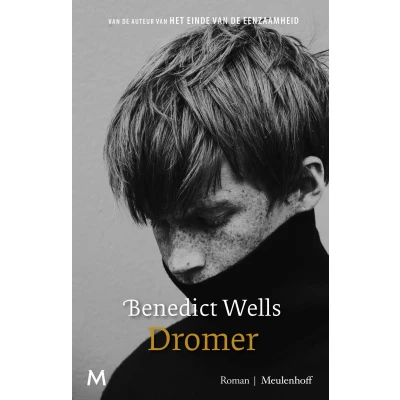 Afbeelding van Dromer