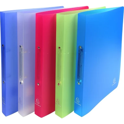Afbeelding van Exacompta 54469E 20x Class. PP A4 chromal