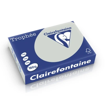 Image de Clairefontaine Trophée 209 microns lilas A4 (210 x 297 mm) 160 g/m² 250 feuille(s) zéro plastique papier teinté