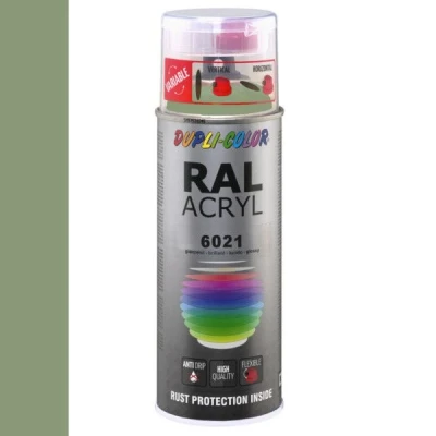 Afbeelding van Dupli Color Ral Acryl 6021 Bleek groen Hoogglans 400 ml