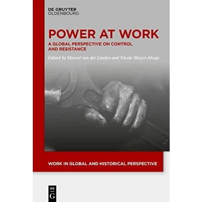 Afbeelding van Work in Global and Historical Perspective16 Power At