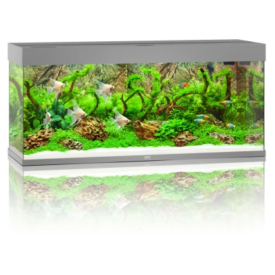 Afbeelding van Juwel Aquarium Rio 240 Led 121x41x50 cm Aquaria Grijs Ca. L