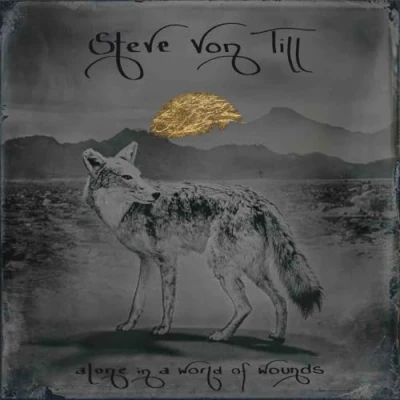Afbeelding van Steve Von Till Alone In A World Of Wounds (LP)